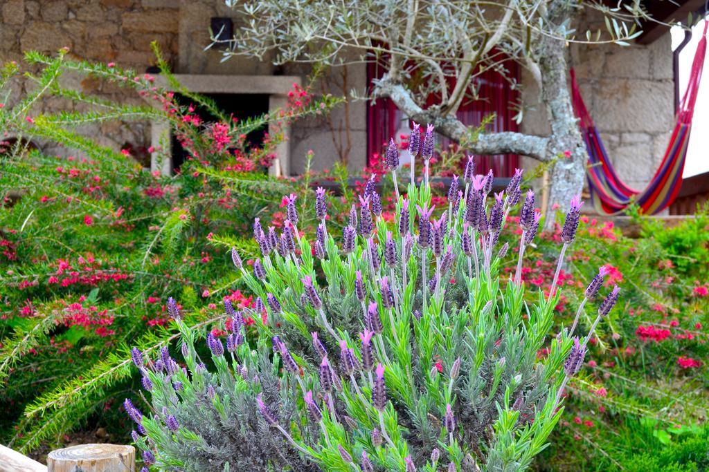 Carya Tallaya - Casas De Campo Vale das Eguas Exterior photo